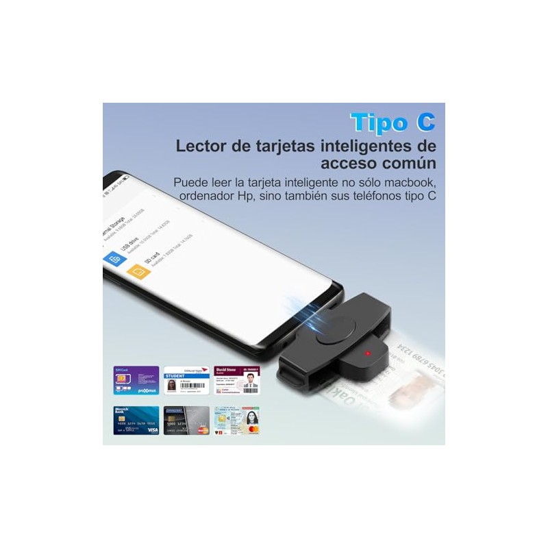 CAC Lector de Tarjetas Inteligentes, Tipo C Declaración de impuestos