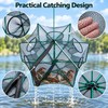 6 Hole Folding Fishing Trap Net 40CM 50CM 60CM –