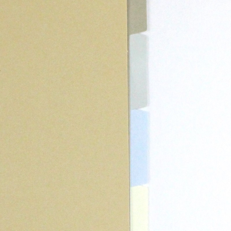 レイメイ藤井 ダヴィンチ カラーインデックス A5 DAR506