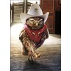 Cowboy Owl - Avanti Funny Birthday Card