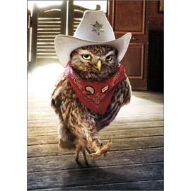 Cowboy Owl - Avanti Funny Birthday Card
