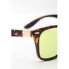 Coleman CTL09-2 Sunglasses