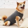Evel dog onesie, breathable, for surgical abdominal wounds and skin