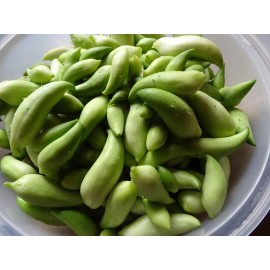 Fresh Cyclanthera Pedata Achocha- Caigua 12 Seeds Organic 2024 Non-GMO Fresh from 2024