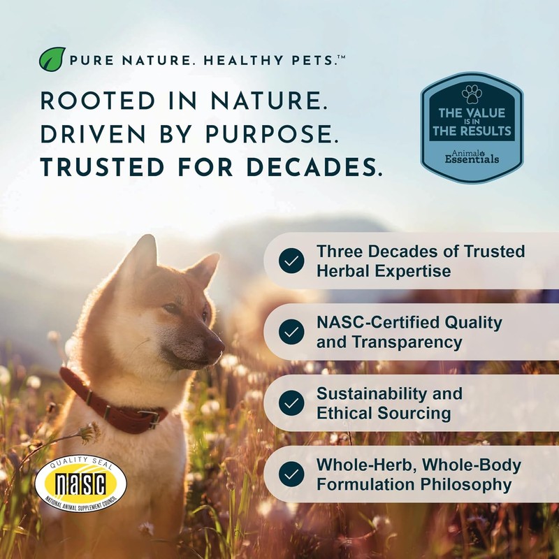 Animal Essentials Colon Rescue for Dogs & Cats - Herbal