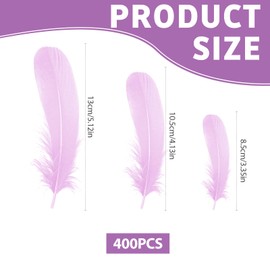 HEOUCH About 400 Pieces Feathers Colorful Small Craft Natural Goose Feathers for DIY Projects Decoration Wedding Easter Christmas Decoration Figures