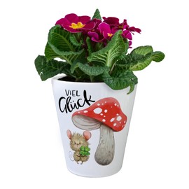Mouse with Toadstool Flower Pot with Saying Good Luck Lucky Charm Mouse Health Wish Clover Mushroom Motif Greetings