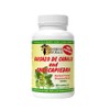 Sunshine Naturals Guisazo & Chancapiedra Herbal Blend, Natural Dietary Supplement