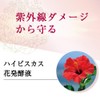 Bee Make Up Powder Natural's-Owner G * Puff with