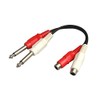Red and White RCA Pin Jack (Female) x 2-6.3mm Mono