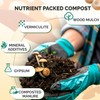 MycoHaus Compost for Mushroom Growing | Sterilized Substrate for Mushrooms