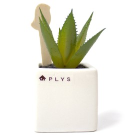 OKA PLYS Pris Green with Small Bird Stick Fuser, Fake Green (Aloe Vera)