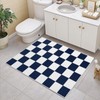 Terrug Navy and White Checkered Rug for Entryway,2x3 Small Area