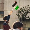 12 Pieces Small Palestinian Flags 5.5 x 8.25 Inch Palestinian