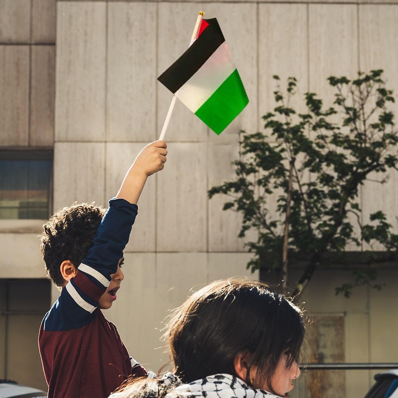 12 Pieces Small Palestinian Flags 5.5 x 8.25 Inch Palestinian