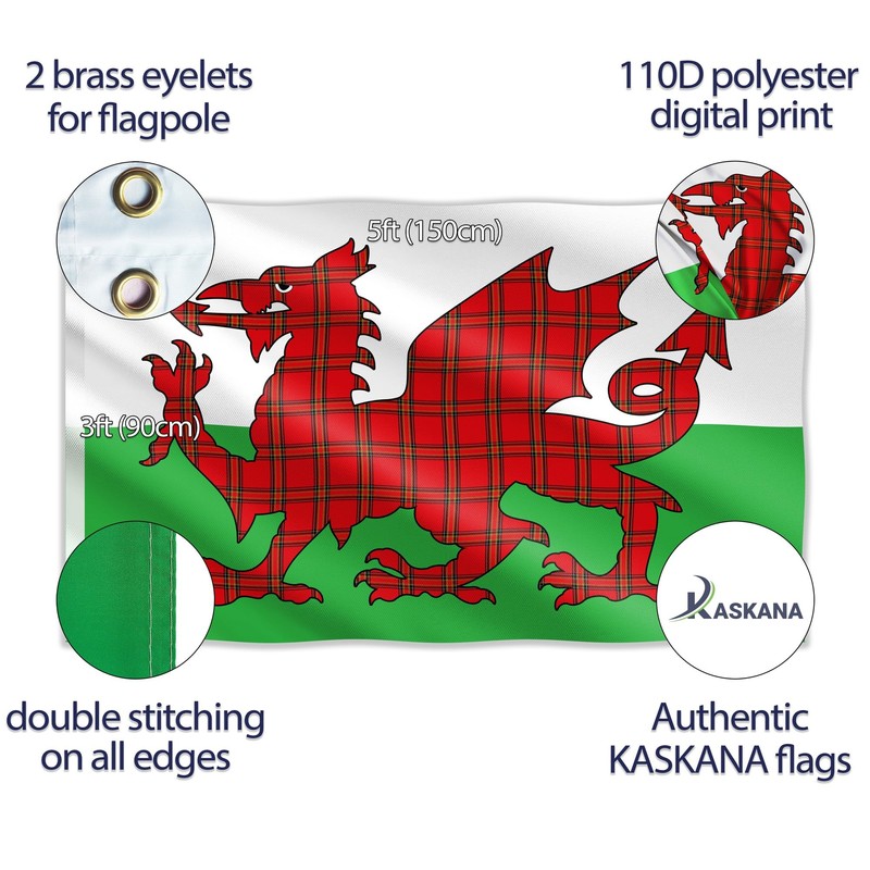 Welsh Flag Dragon Tartan - Wales Flag - Wales Dragon