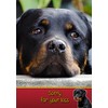 Rottie/Rottweiler Dog Sympathy Card