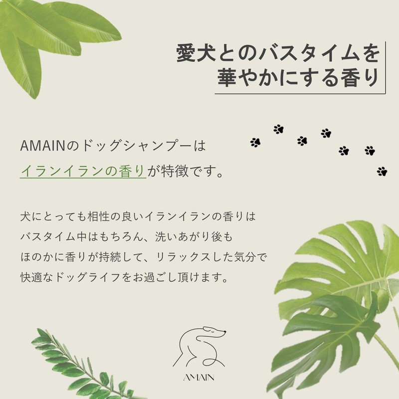 AMAIN Dog Shampoo, Hypoallergenic, Gentle Botanical Dog Grooming Shampoo, Light