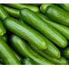 50 Cucumber Seeds Straight Eight Cucumbers - Heirloom Vegetable Seeds