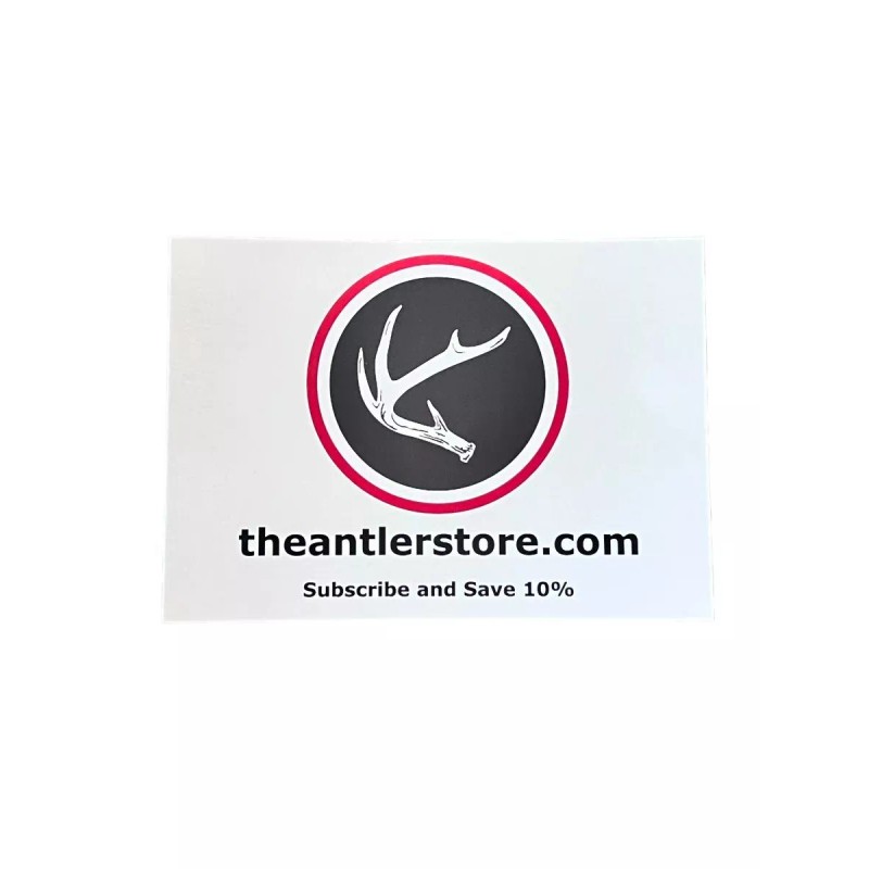 The Antler Store One Top-Grade Craft Whitetail Deer Antler Shed