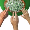 Starlight Candy, Individually Wrapped, Spearmint, 2 Pound