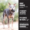 KONG Hueso Extreme Goddie XG