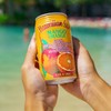 Hawaiian Sun Drinks - Mango Orange (11.5floz x 6 cans)