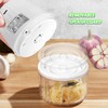 Luniquz Mini Electric Garlic Chopper 300ML GLASS Food Processor Cordless