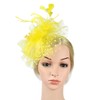 QDC Fascinators for Women Tea Party Headband Hats Cocktail Flower