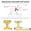 Dog Harness and Leash Set, Adjustable Dog Harness, Dog Leash,