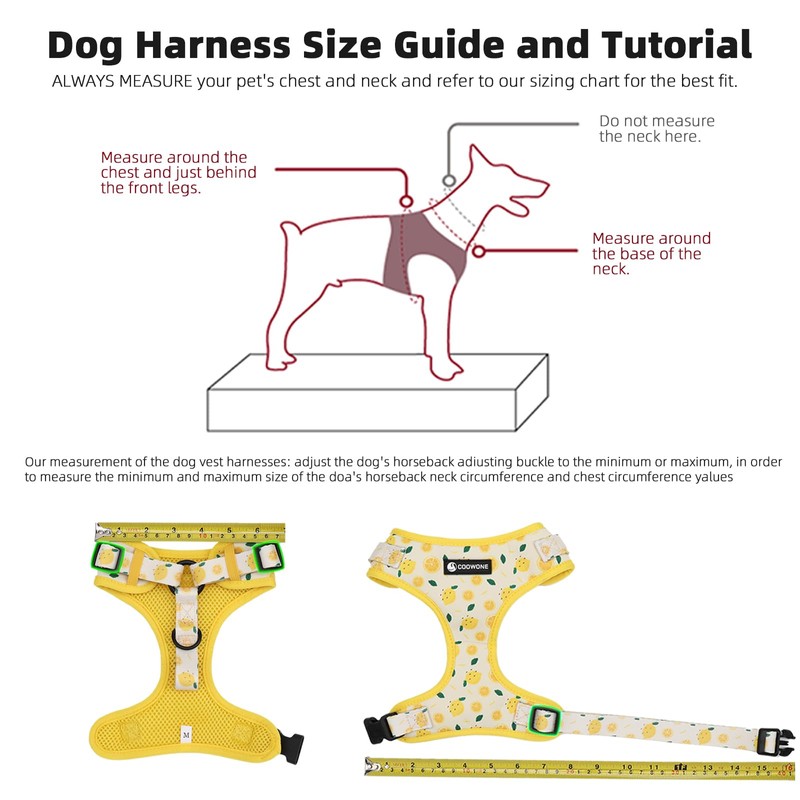 Dog Harness and Leash Set, Adjustable Dog Harness, Dog Leash,