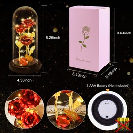 DOUUCO Ewige Rose im Glas, Die Schöne und Das Biest LED Licht Rosen im Glaskuppel Glitzer Rosen Geburtstags Geschenk für Frauen, Mama, Freundin, Muttertagsgeschenk Weihnachten