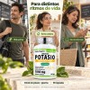 Potasio Citrato Orgánico 90 Caps - Purely Organics
