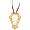Auburn Board Deer Gamsbock Made of Oak Wood with Pine