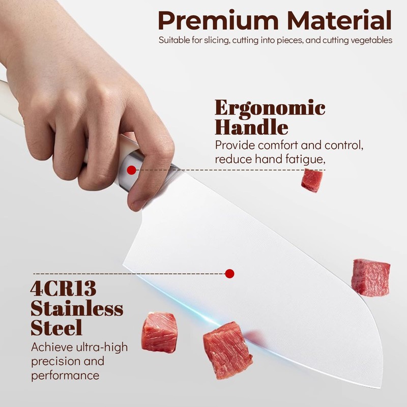 Knife Set, Kitchen Knife Set with Block, 6 Pieces Professional