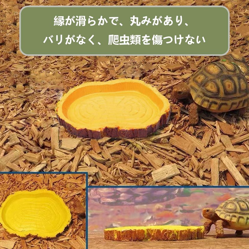 PAVIKE Reptile Bait Food Bowl Reptile Water Tray Reptile Feeding