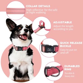 Roses&Poetry Reflective Dog Collar with Pink Gradient Color, Adjustable Durable Pet Collars for Small Medium Large Dogs (Pink Gradient-M)