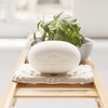 SAPONETTA FIORI DI COTONE 150G