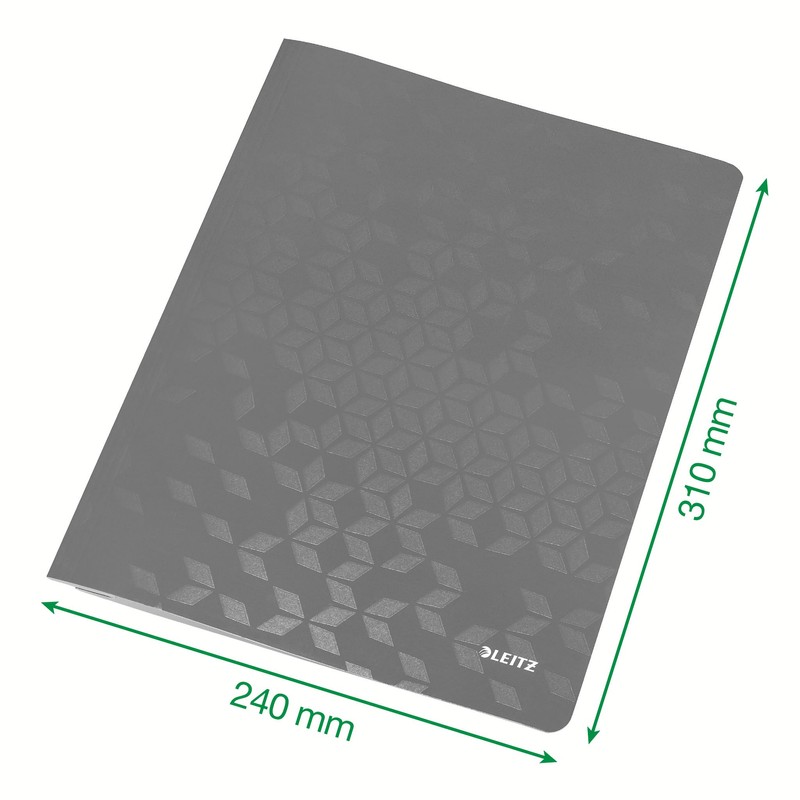 Leitz 30010054 3-Flap Folder, Holds Up to 150 A4 Sheets,