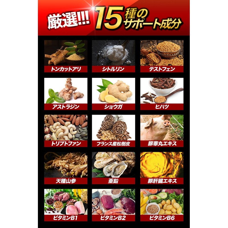 漲天 すっぽん クラチャイダム アルギニン テストフェン トンカットアリ 15日分 45粒