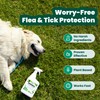 Cedarcide Original Bug Spray | Repel & Kill Fleas, Ticks,