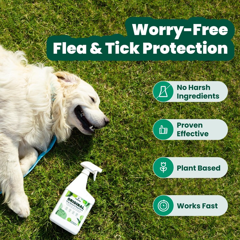 Cedarcide Original Bug Spray | Repel & Kill Fleas, Ticks,