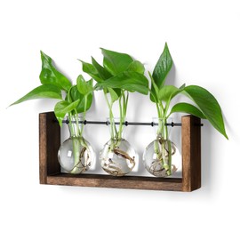 YIBOT Plants Propagation Stations,Plant Terrarium with Wooden Stand Wall Hanging Glass Planter Plant Propagation Vase for Indoor Office Home Garden Decor Plant Lover Gifts for Women