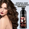 Natural Brown Hair Colour Shampoo 400 ml, Chestnut Brown, Instant
