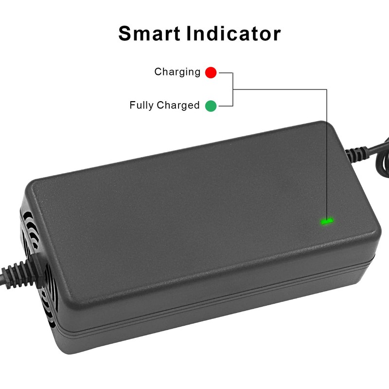 Tnvodejo 29.4V 2A Li ion Battery Charger Multiple Plugs Compatible