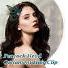 OHREN Pfau Kopfschmuck Haarspange, Pfau Haarschmuck, Feder Haarschmuck mit Strassbesatz,