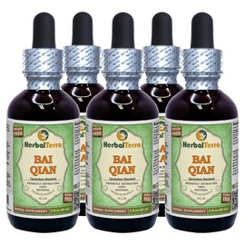 Bai Qian (Cynanchum stauntonii) Glycerite, Dried Roots Alcohol-FREE Liquid Extract (Brand name: HerbalTerra, Proudly made in USA) 5x2 fl.oz (5x60 ml)