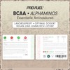 BCAA Powder 3 x 300 g Watermelon - Test Winner