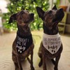 Pregnancy Announcement Dog Bandanas - Our Humans are Getting Us
