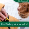 bluzelle Recall 5800 Professional Dog Whistle with Strap for Dog